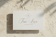 Soralize - A Modern Calligraphy Font, a Script Font by Almeera Std (Thumbnail 10 of 10)