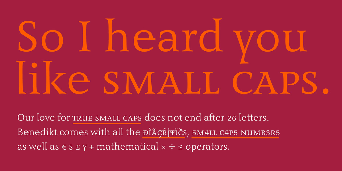Benedikt, a Sans Serif Font by Finaltype (Photo 9 of 20)