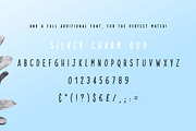 Silver Charm, a Handwritten Font by StereoType (Thumbnail 10 of 10)