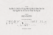 Thereon - Modern Romantic Serif Font, a Serif Font by VP Fonts (Thumbnail 20 of 21)