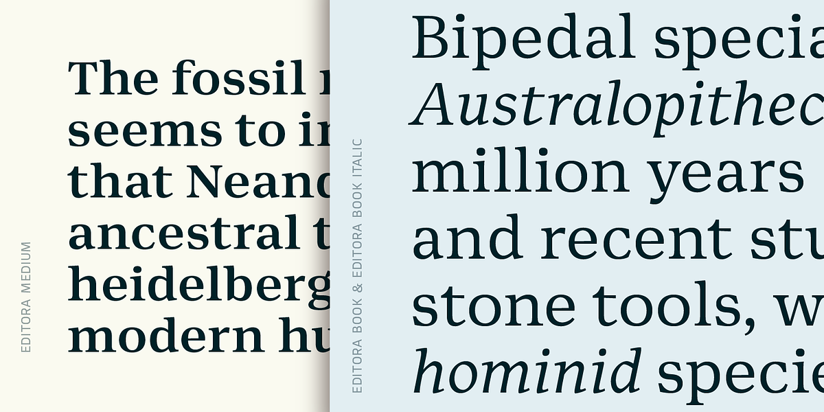 Editora, a Serif Font by Untype (Photo 6 of 12)