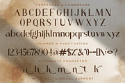 Sandy King - Casual Serif Font, a Serif Font by StringLabs (Thumbnail 7 of 8)