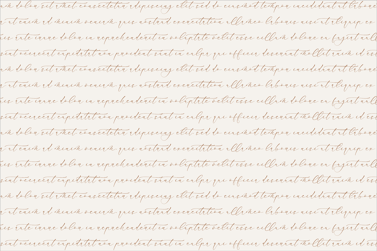 Mindflora Benatio Beauty Script Font, a Script Font by Storytype Studio (Photo 5 of 15)