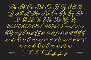 Delegatt Textured Elegant Script, a Script Font by stylishtype.co (Thumbnail 10 of 10)