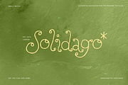 Perfect Sprouts | Whimsical Font, a Handwritten Font by type peace (Thumbnail 13 of 20)