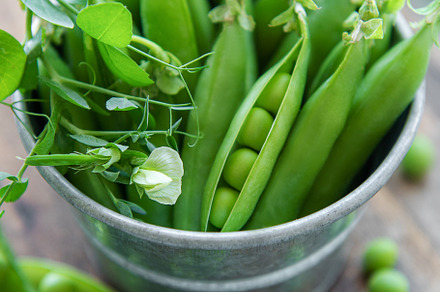 Sweet pea pods, a Food & Drink Photo by Olena Rudo