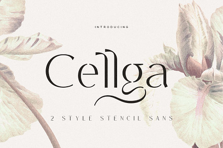 Cellga Typeface, a Sans Serif Font by alit design