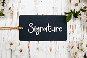 Thanksgiving | Script Font, a Script Font by Scratchones (Thumbnail 5 of 8)