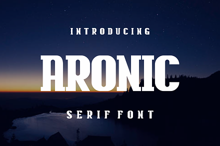 Aronic, a Serif Font by lelevien
