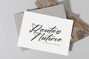 Climbing Nature Modern Calligraphy, a Script Font by Letterena Studios Script (Thumbnail 12 of 15)