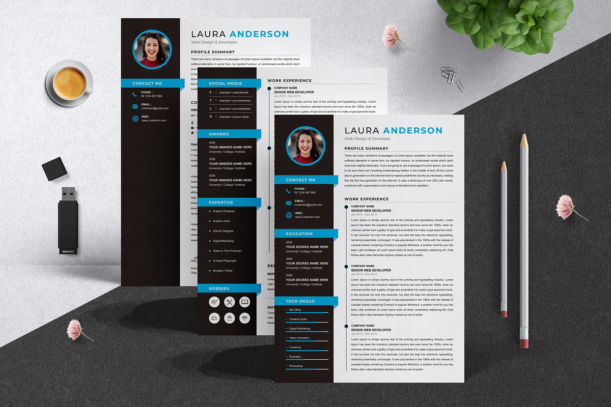 Best CV Format | Curriculum Vita, a Resume Template by X-Type (Photo 4 of 5)