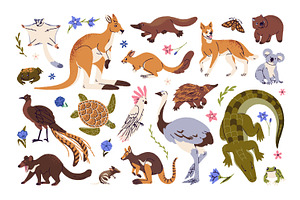 Australian animals and plants set, an Animal Illustration by PaperTrident