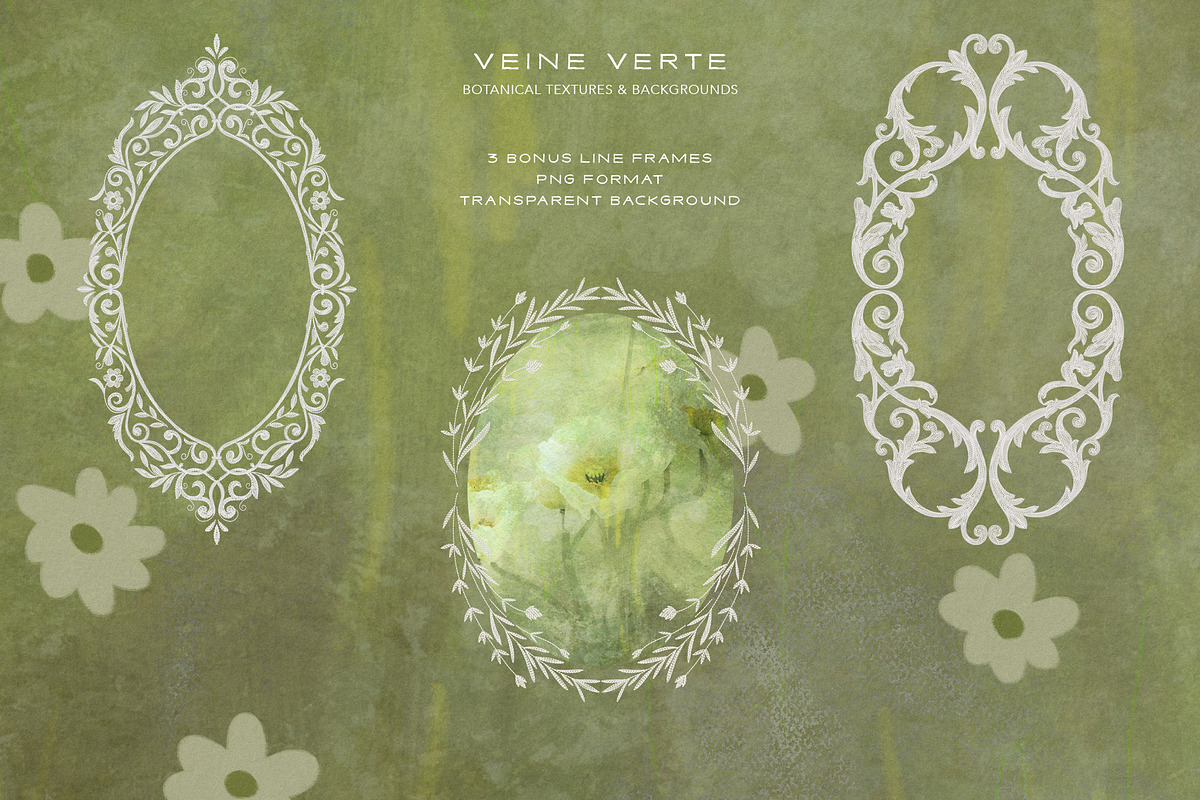 Veine Verte Botanical Backgrounds, a Background Graphic by alonahaidash (Photo 15 of 20)