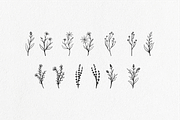 Plant and flower hand-drawn set, an Object Illustration by Tekuni (Thumbnail 5 of 6)