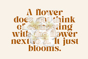 Melyan - Classy & Stylish Serif, a Serif Font by TypeLogue (Thumbnail 3 of 5)