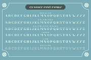 CS Nancy Font Family, a Serif Font by Craft Supply Co. (Thumbnail 4 of 5)