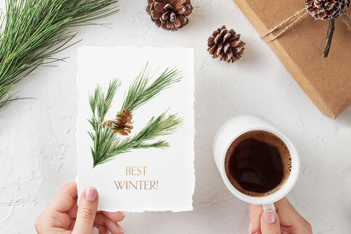 Winter Greenery Watercolor Graphics, an Illustration by studioequinox (Photo 11 of 20)