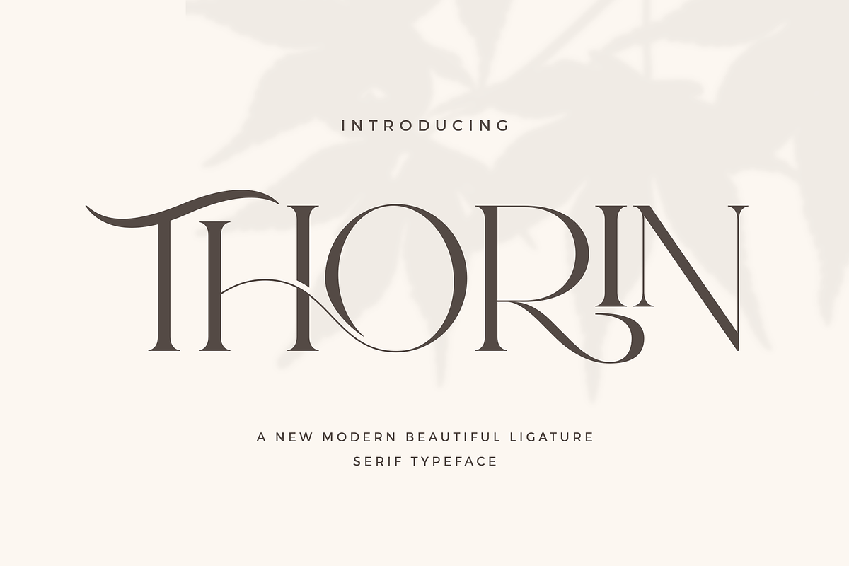 Thorin - Beautiful Serif Font, a Serif Font by Aqeel_Art (Photo 1 of 12)