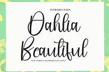 Dahlia Beautiful
