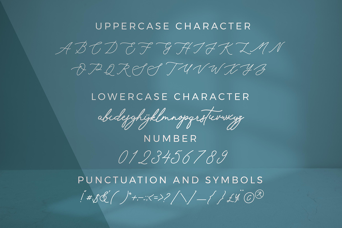 Serendipity Monoline Script font, a Script Font by mahstudios (Photo 5 of 8)