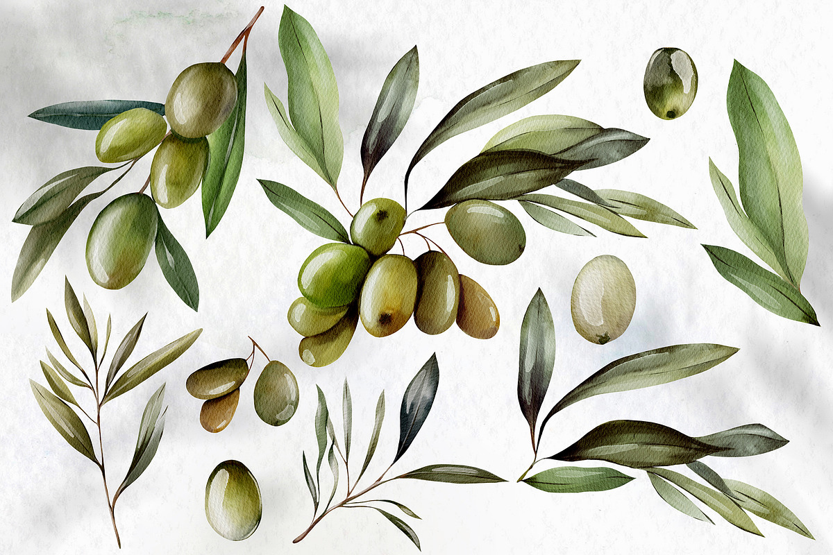 Watercolor Olives & Lemons, an Object Graphic by Knopazyzy (Photo 2 of 6)