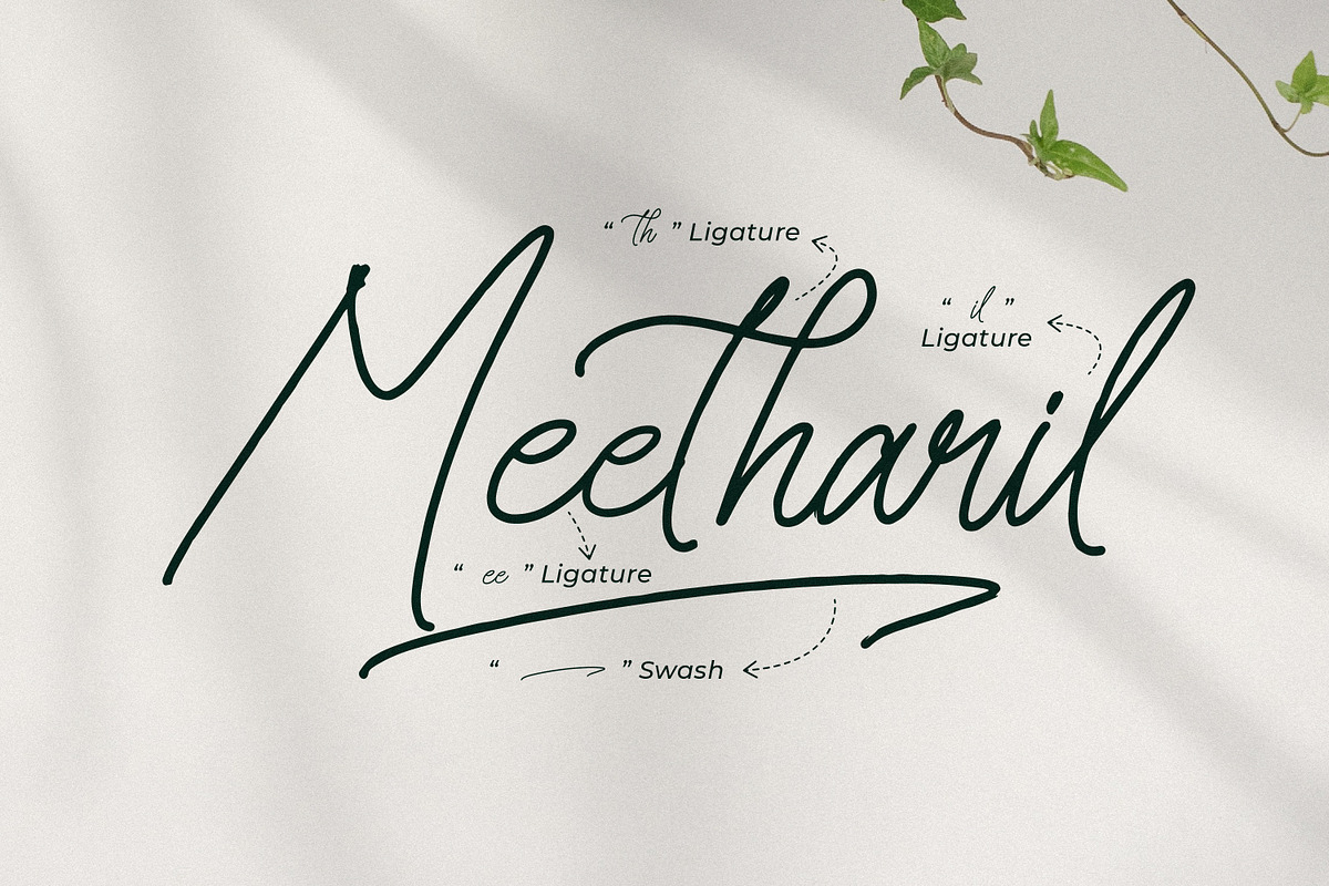 Senofeetha, a Script Font by Integritype Studio (Photo 14 of 15)