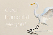 Cherla - Clean & Visual Elegance, a Sans Serif Font by BOOSH Studio (Thumbnail 8 of 14)