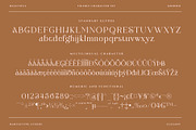 Figerly Modern Serif Font, a Serif Font by RantautypeStudio (Thumbnail 14 of 15)