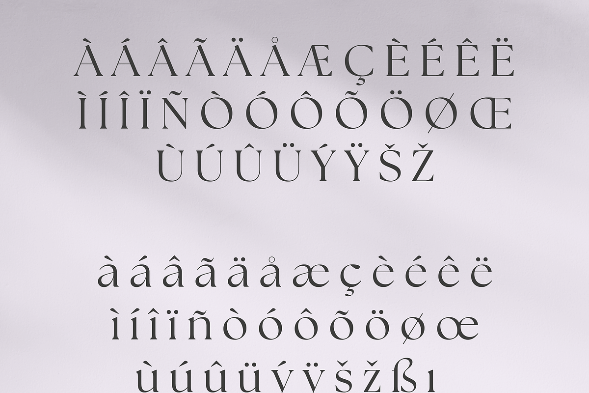 Retro Standard Serif, a Serif Font by Creative Foundry (Photo 7 of 8)