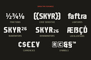 Barend - Brutalist Display Sans Font, a Sans Serif Font by Sekyra Lab (Thumbnail 6 of 16)