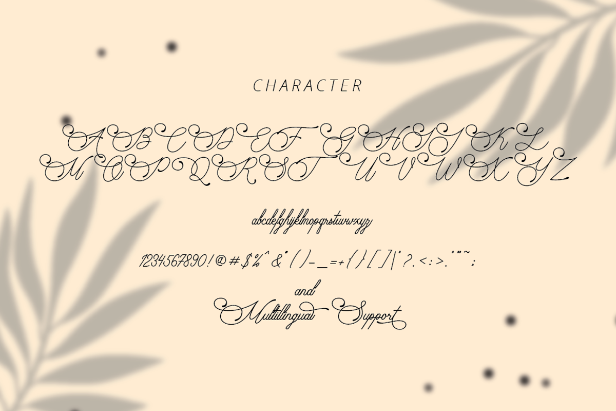 Audrena - Beautiful Monoline Font, a Script Font by PutraCetol Studio (Photo 3 of 11)