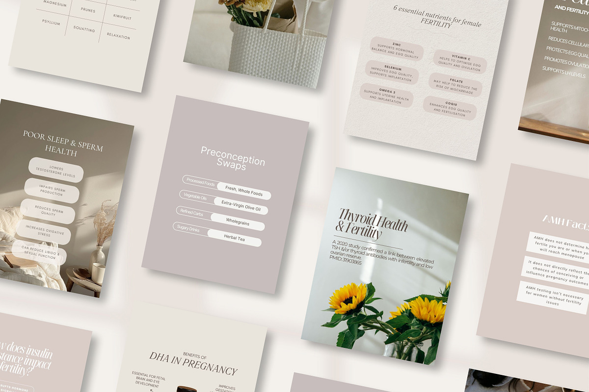 Fertility Social Media Templates, a Templates & Theme by Naturopath Hub (Photo 1 of 10)