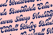 Birchside Script, a Script Font by Get Studio (Thumbnail 23 of 28)