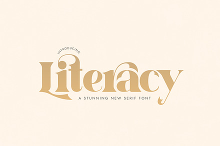 Literacy Serif Font