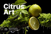 Citrus Art - 25 images, a Food Illustration by Handmadefont (Thumbnail 1 of 10)