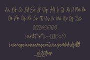 Thomstamp, a Script Font by LetterStock (Thumbnail 6 of 6)
