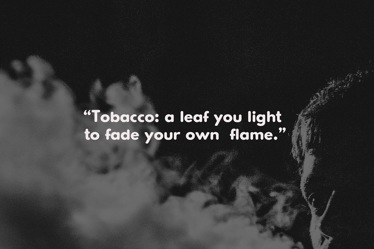 Qacho Checko Rounded Sans Serif Font, a Sans Serif Font by Maulana Creative (Photo 4 of 7)