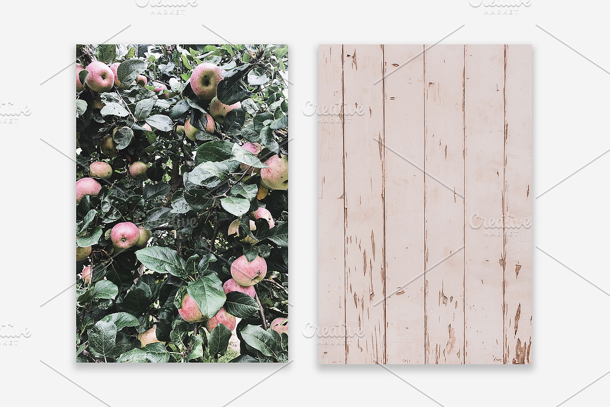 Lifestyle Bundles Collection 3, a Photo by Floral Deco (Photo 43 of 48)