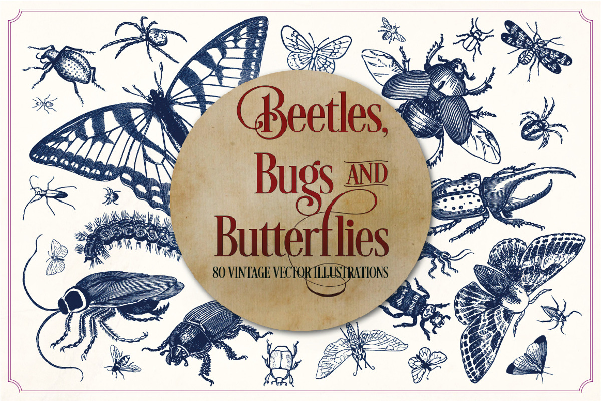 Vintage insects and butterflies, an Animal Illustration by Mr Vintage (Photo 1 of 5)