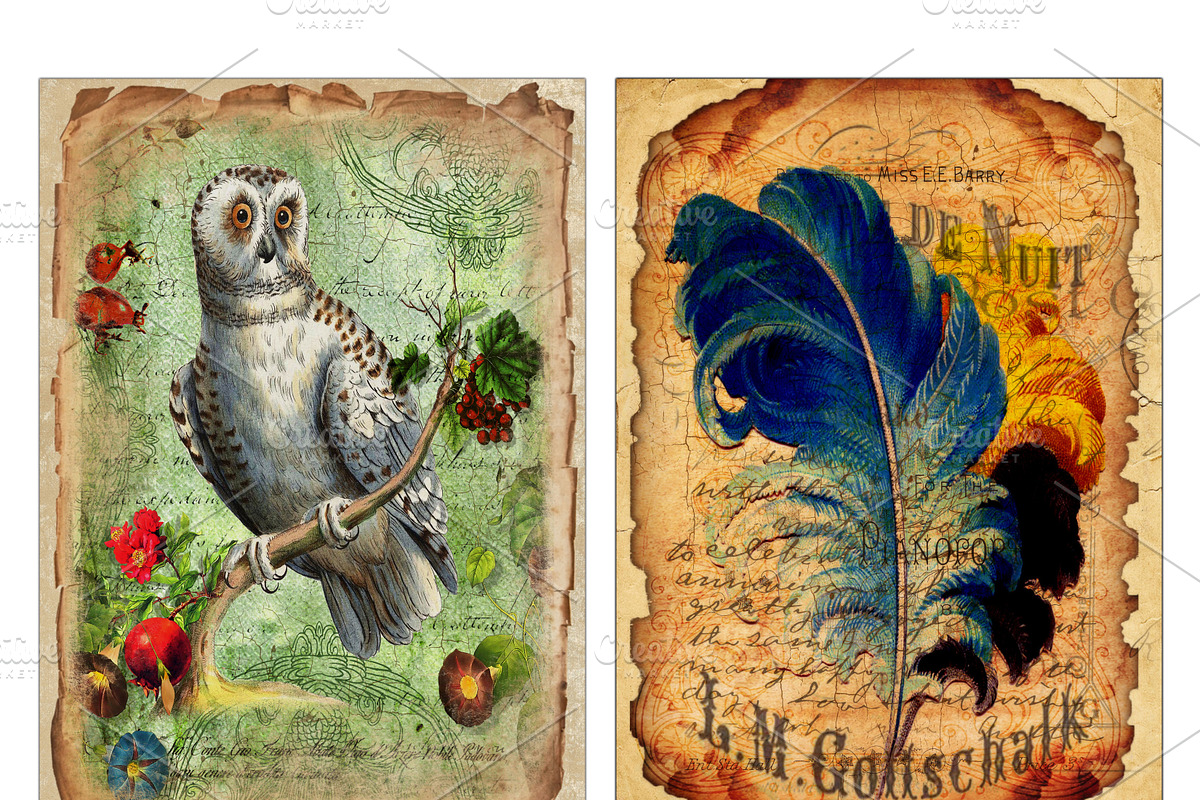 Vintage paper, feathers & owls cards, an Object Graphic by DidiArtWorld (Photo 2 of 3)