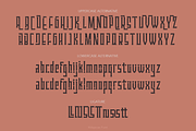 Hibyscas Font Duo, a Handwritten Font by madeDeduk (Thumbnail 4 of 8)