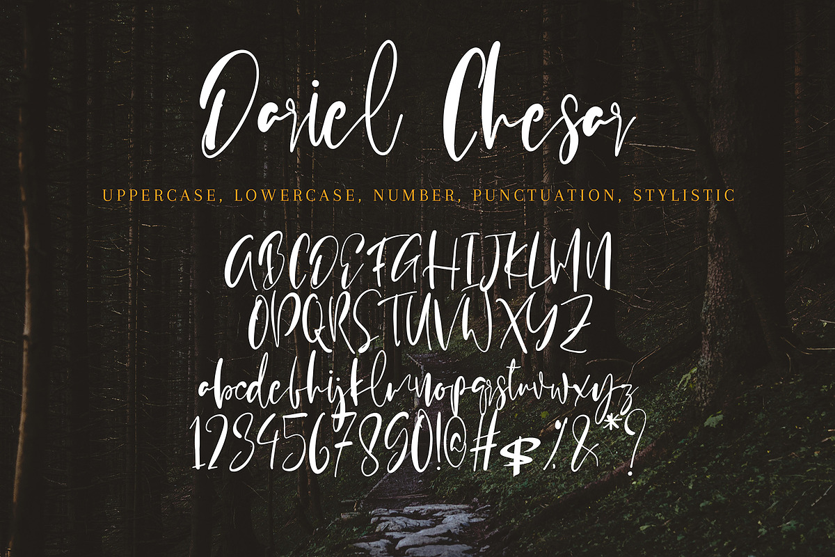 Dariel Chesar, a Handwritten Font by HaKi Studio (Photo 5 of 5)