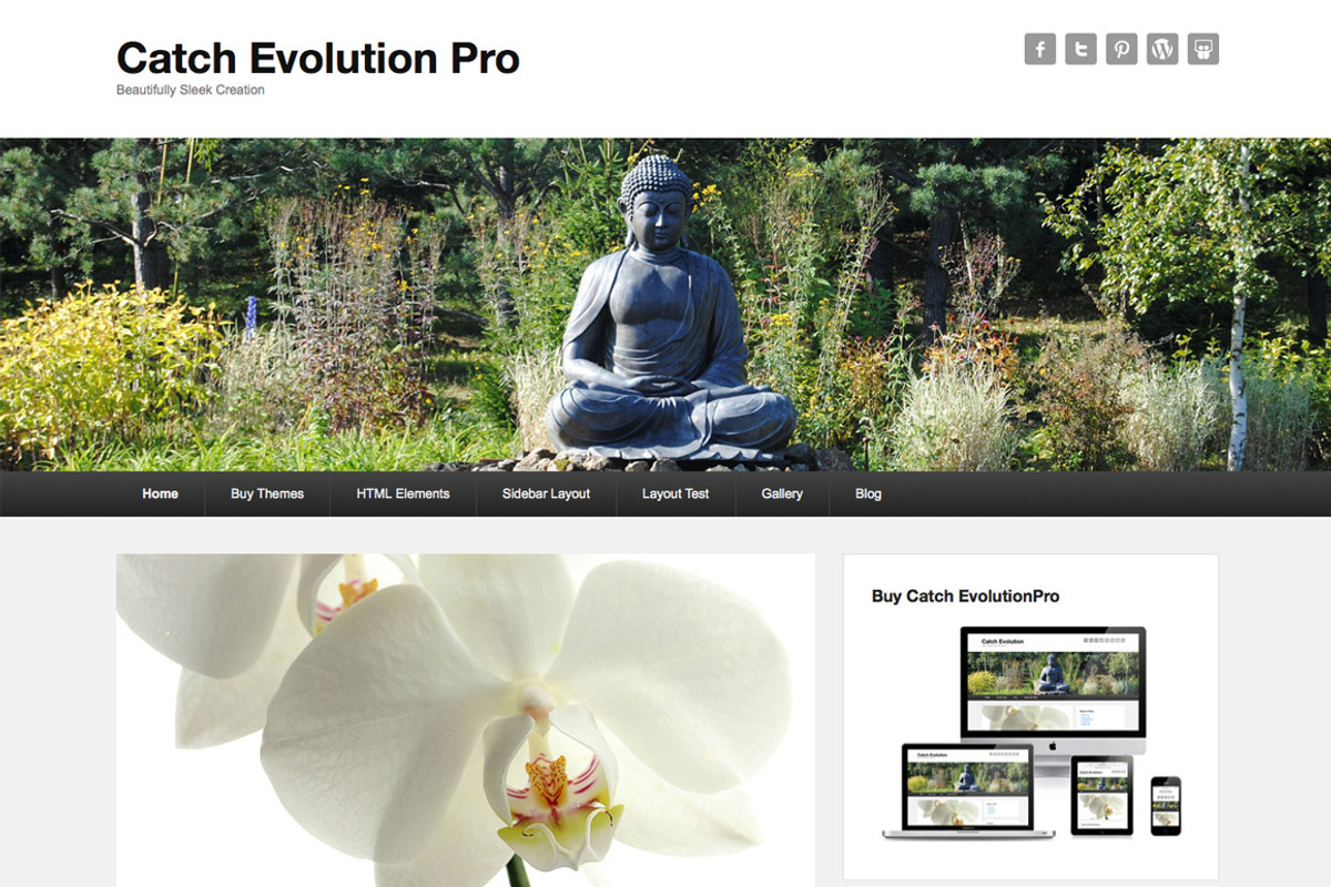Catch Evolution Pro, a WordPress Template by Catch Themes (Photo 1 of 4)
