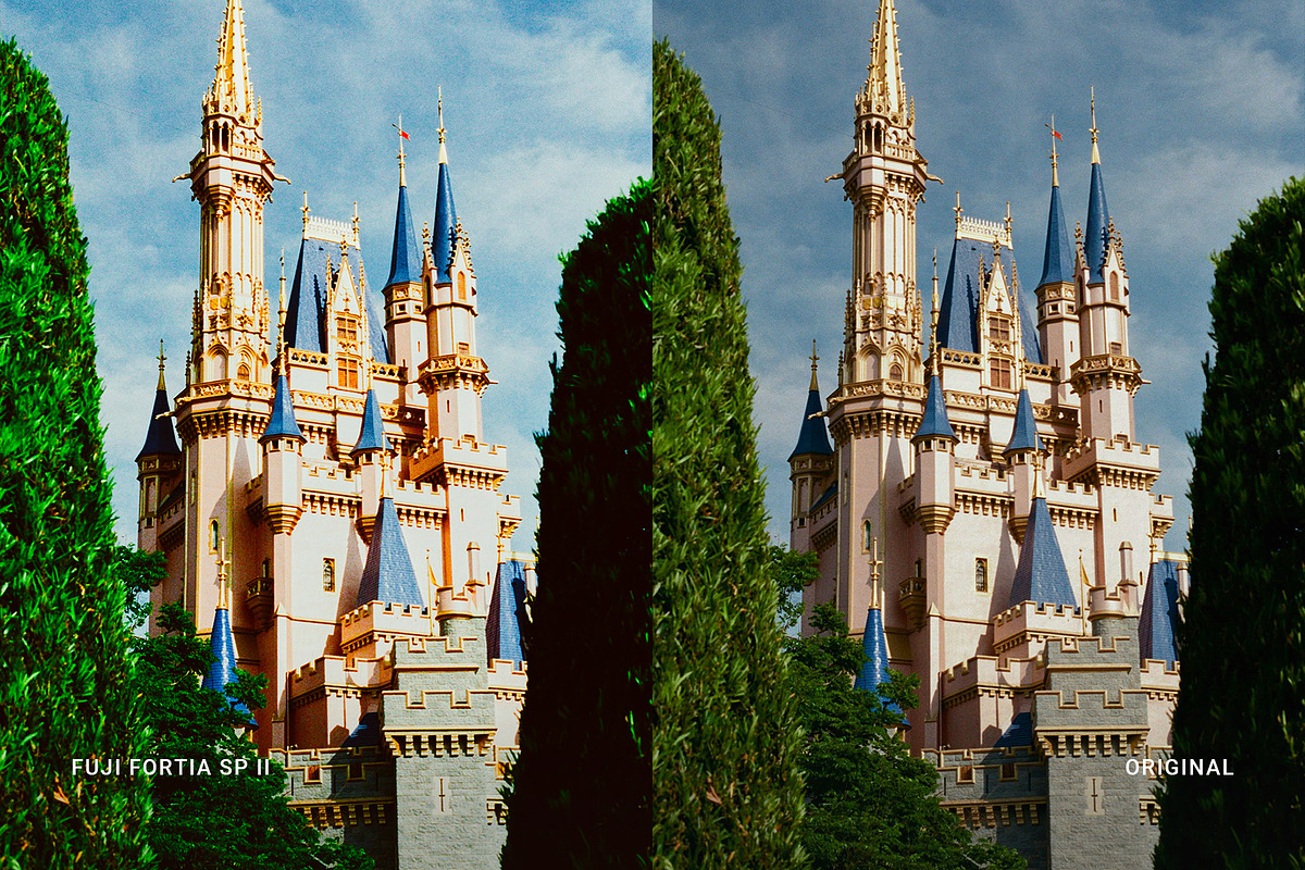 Fuji Fortia SP II, a Preset Add-On by colorituals (Photo 3 of 8)