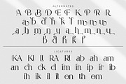 Pethra - Modern Serif Font, a Serif Font by Ermedia Studio (Thumbnail 12 of 12)