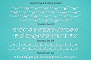 Fine Spring, a Script Font by Attype (Thumbnail 8 of 10)