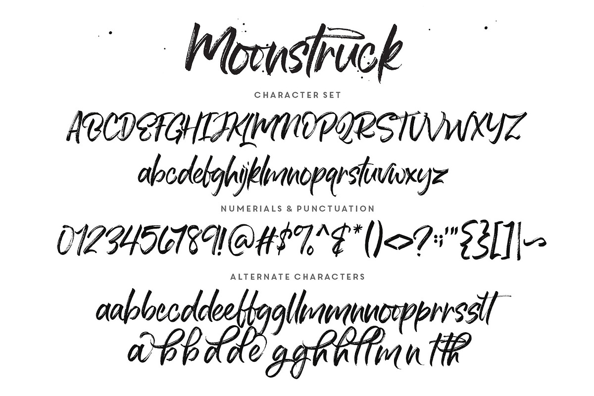 Moonstruck Handwriting + Extras, a Script Font by Callie Rian & Co. (Photo 9 of 11)