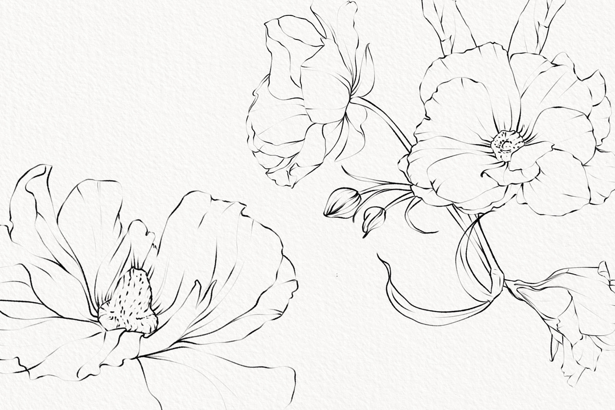 Procreate flower stamp, anemones, a Brush Add-On by AnnaPolitmerskaja (Photo 3 of 6)