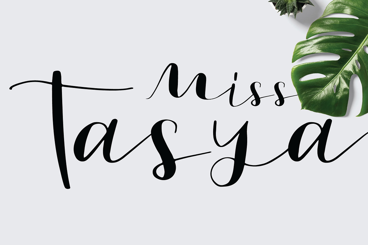 follow font preview 4