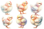 Watercolor Chicken clipart, an Illustration by Designworld (Thumbnail 5 of 6)